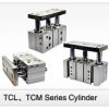 TCL,TCM Series Cylinder